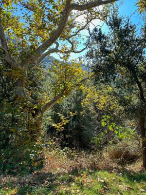 Hollywood Sign Hike 3